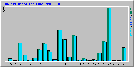 Hourly usage for February 2025