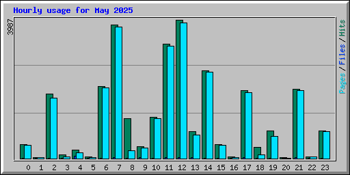 Hourly usage for May 2025