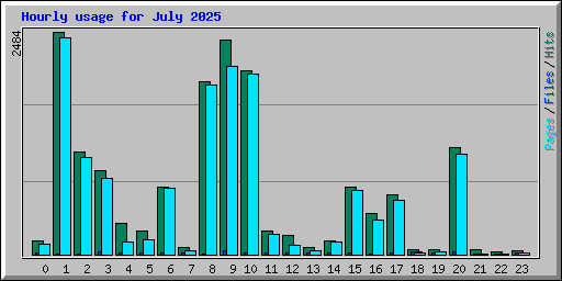 Hourly usage for July 2025