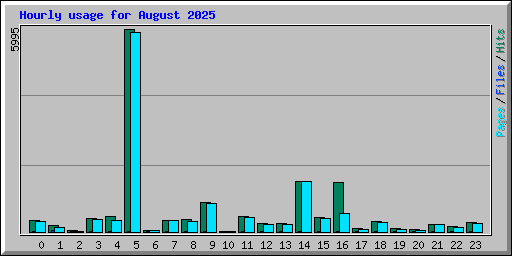 Hourly usage for August 2025