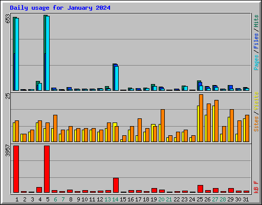 Daily usage for January 2024