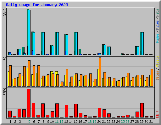 Daily usage for January 2025