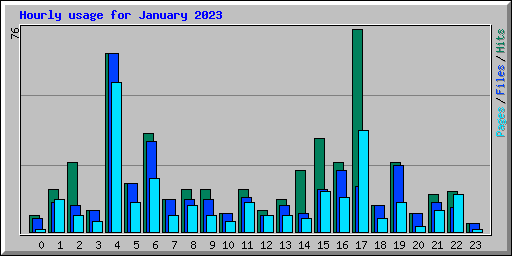 Hourly usage for January 2023