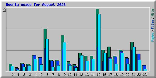 Hourly usage for August 2023