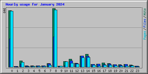 Hourly usage for January 2024