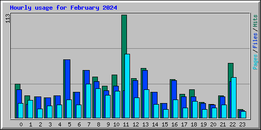 Hourly usage for February 2024