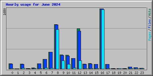 Hourly usage for June 2024