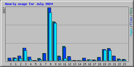 Hourly usage for July 2024