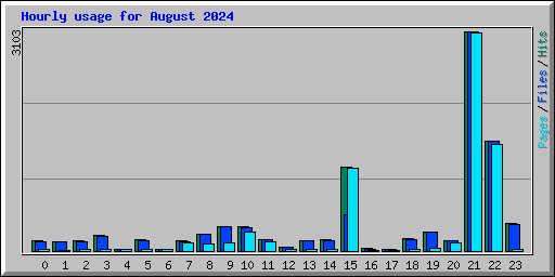 Hourly usage for August 2024