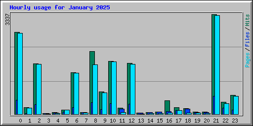 Hourly usage for January 2025