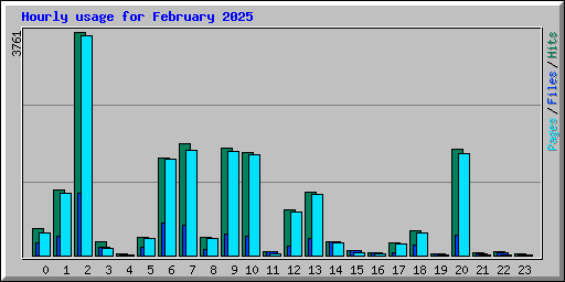 Hourly usage for February 2025