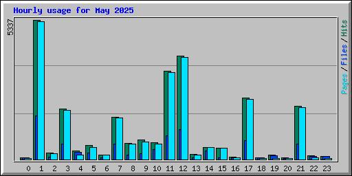 Hourly usage for May 2025