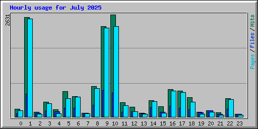 Hourly usage for July 2025