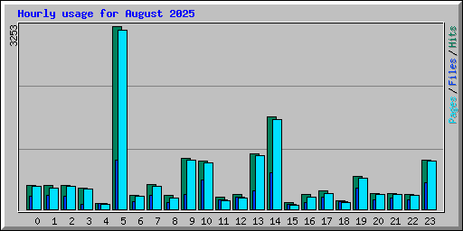 Hourly usage for August 2025