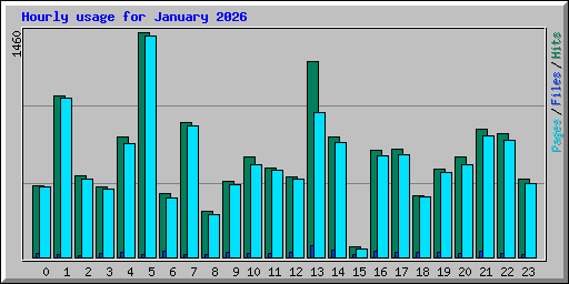 Hourly usage for January 2026