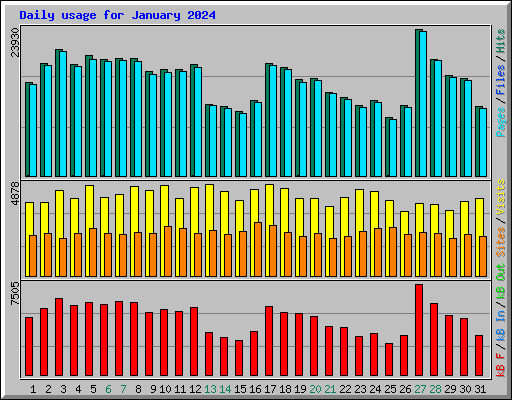 Daily usage for January 2024