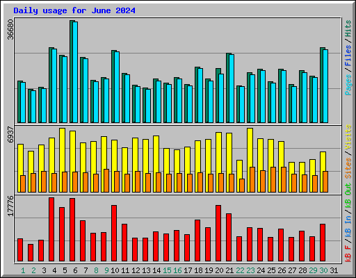 Daily usage for June 2024