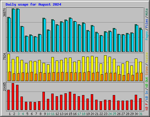 Daily usage for August 2024