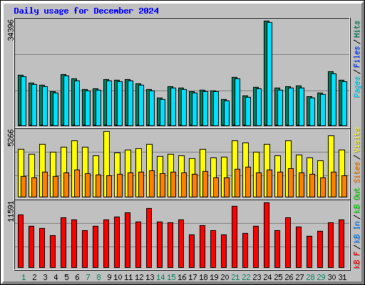 Daily usage for December 2024