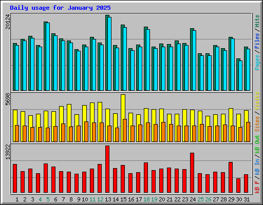 Daily usage for January 2025