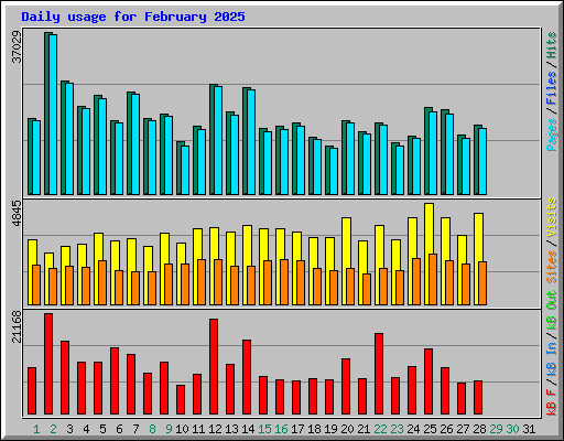 Daily usage for February 2025