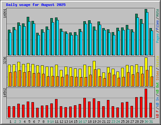 Daily usage for August 2025