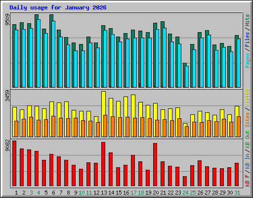 Daily usage for January 2026