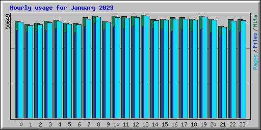 Hourly usage for January 2023