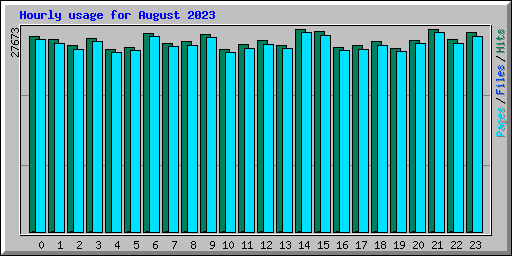 Hourly usage for August 2023