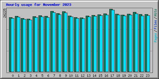 Hourly usage for November 2023