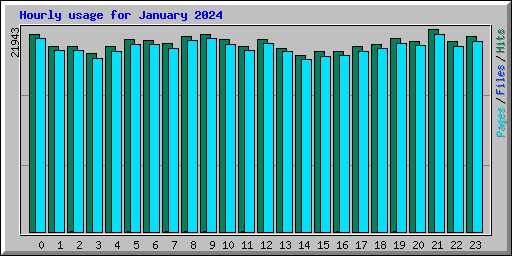 Hourly usage for January 2024