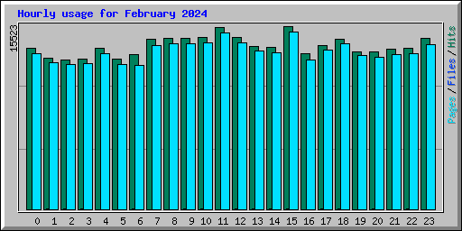 Hourly usage for February 2024