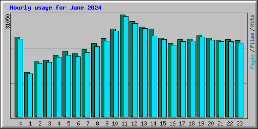 Hourly usage for June 2024