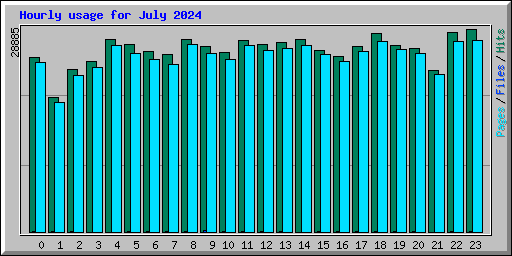 Hourly usage for July 2024