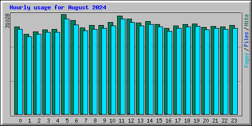 Hourly usage for August 2024