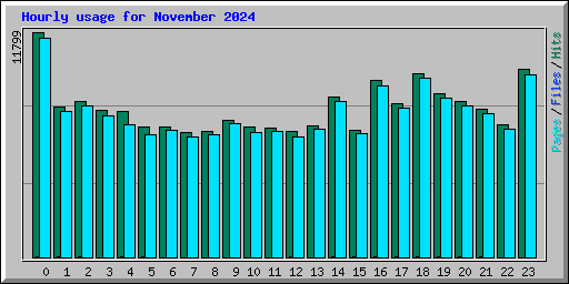 Hourly usage for November 2024