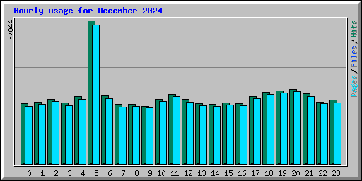 Hourly usage for December 2024