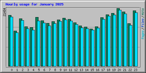 Hourly usage for January 2025
