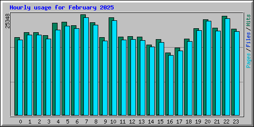 Hourly usage for February 2025