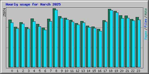 Hourly usage for March 2025