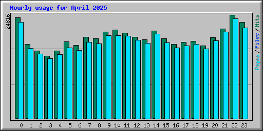 Hourly usage for April 2025