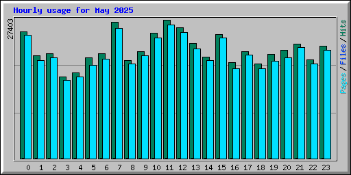 Hourly usage for May 2025