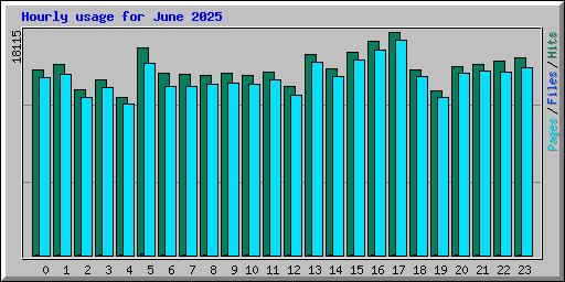 Hourly usage for June 2025