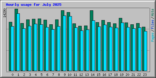 Hourly usage for July 2025