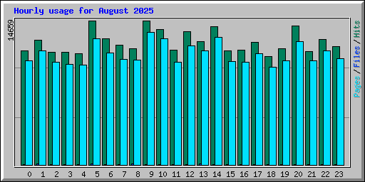 Hourly usage for August 2025