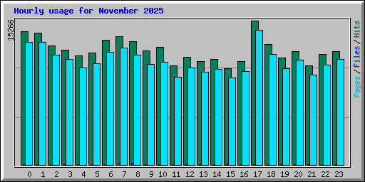 Hourly usage for November 2025