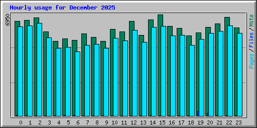 Hourly usage for December 2025