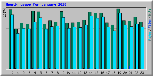 Hourly usage for January 2026