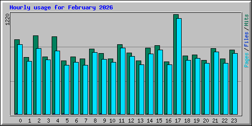 Hourly usage for February 2026