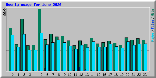 Hourly usage for June 2026